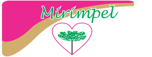 Mirimpel Sacos de Papel em Curitiba Mirimpel Sacos de Papel em Curitiba